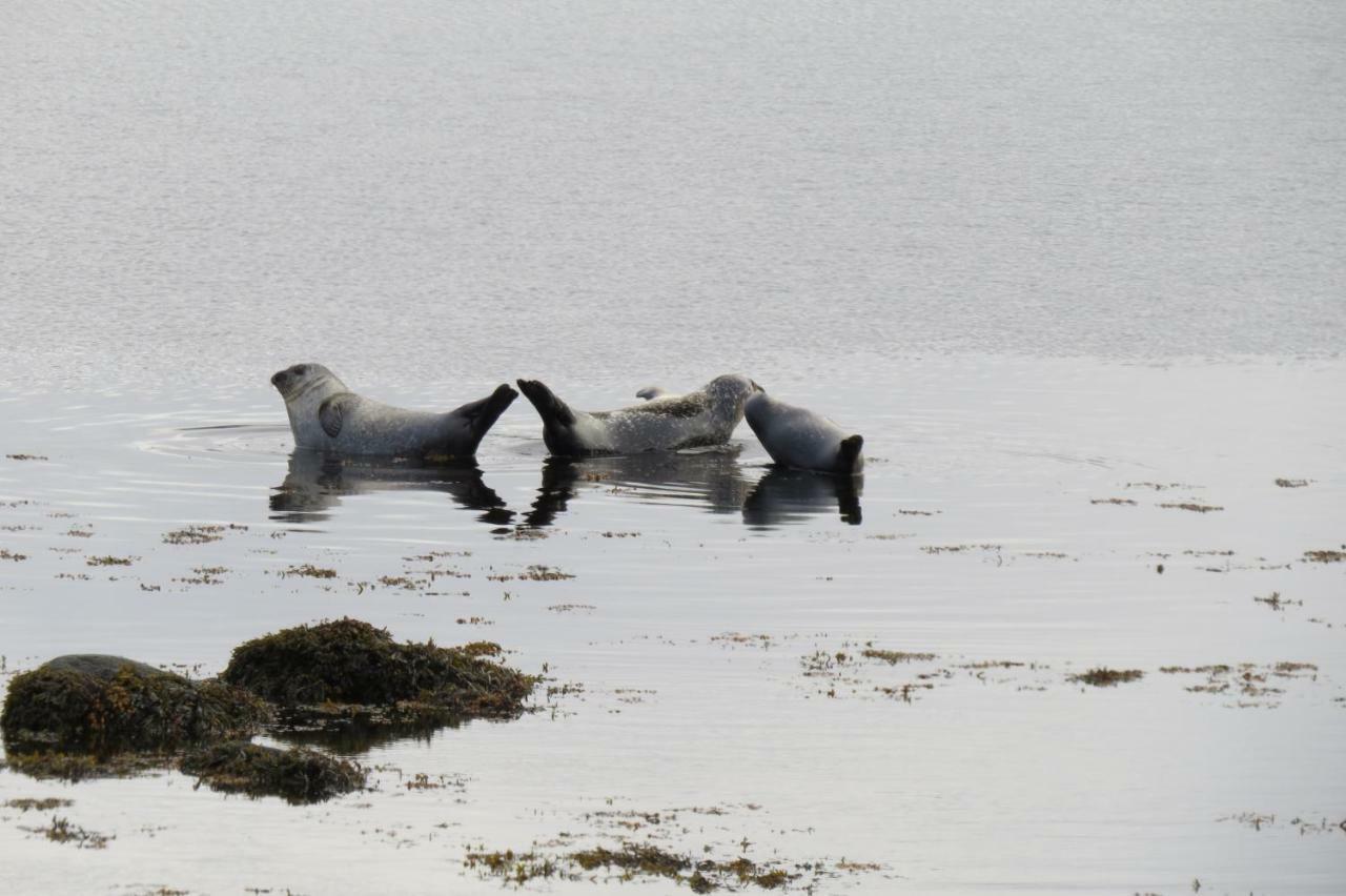 Hvammur 2 Bjarg With Private Hot Tub Drangsnes Экстерьер фото